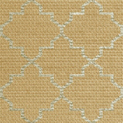 Dynamic Newport 96003-8008 Orange Area Rug