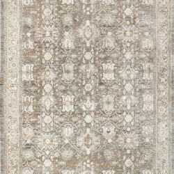 Dynamic Octo 6901-199 Cream/multi Area Rug