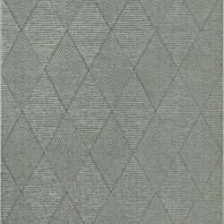 Dynamic Quin 41006-7131 Dark Grey Area Rug
