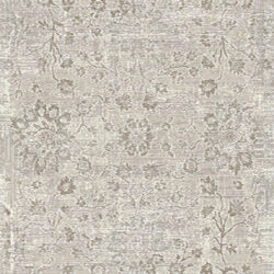 Dynamic Renaissance 3157-190 Ivory/grey Area Rug