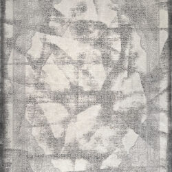 Dynamic Ruby 2189-910 Grey/ivory Area Rug