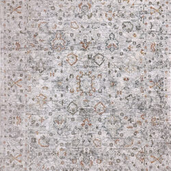 Dynamic Skyler 6713-999 Grey/multi Area Rug