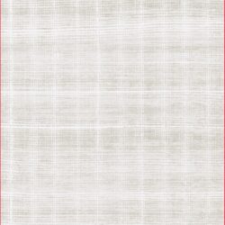 Dynamic Sterling 18841-190 Cream/grey Area Rug