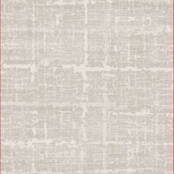 Dynamic Sterling 18842-980 Grey/beige Area Rug