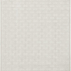 Dynamic Timeless 6922-800 Beige Area Rug