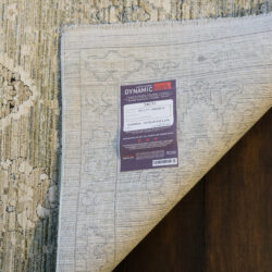 Alternative view of Dynamic Trevi 13255-899 Beige/multi Area Rug