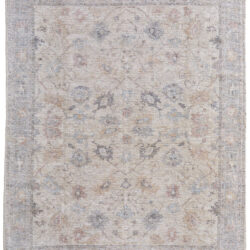 Feizy Caldwell Transitional Floral & Botanical 8976F Ivory/Tan/Blue Area Rug