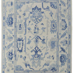 Feizy Karina Transitional Floral & Botanical 69G7F Ivory/Blue Area Rug