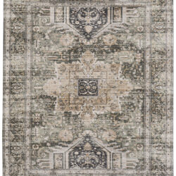 Feizy Augustine Traditional Medallion 39TVF Green/Black/Tan Area Rug
