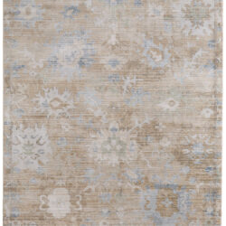 Feizy Augustine Traditional Floral & Botanical 39TXF Tan/Blue/Ivory Area Rug