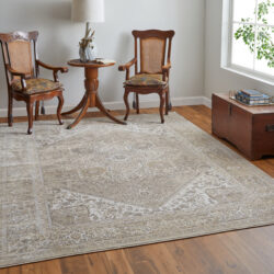 Alternative view of Feizy Celene Traditional Medallion 39KXF Brown/Ivory/Tan Area Rug