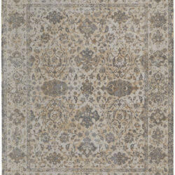 Feizy Celene Traditional Bordered 39L0F Ivory/Tan/Gray Area Rug