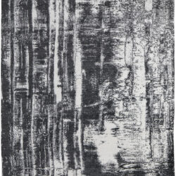 Feizy Coda Modern Abstract 8929F Black/White Area Rug