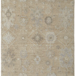 Feizy Grafton Transitional Floral & Botanical 69F8F Tan/Gray/Ivory Area Rug