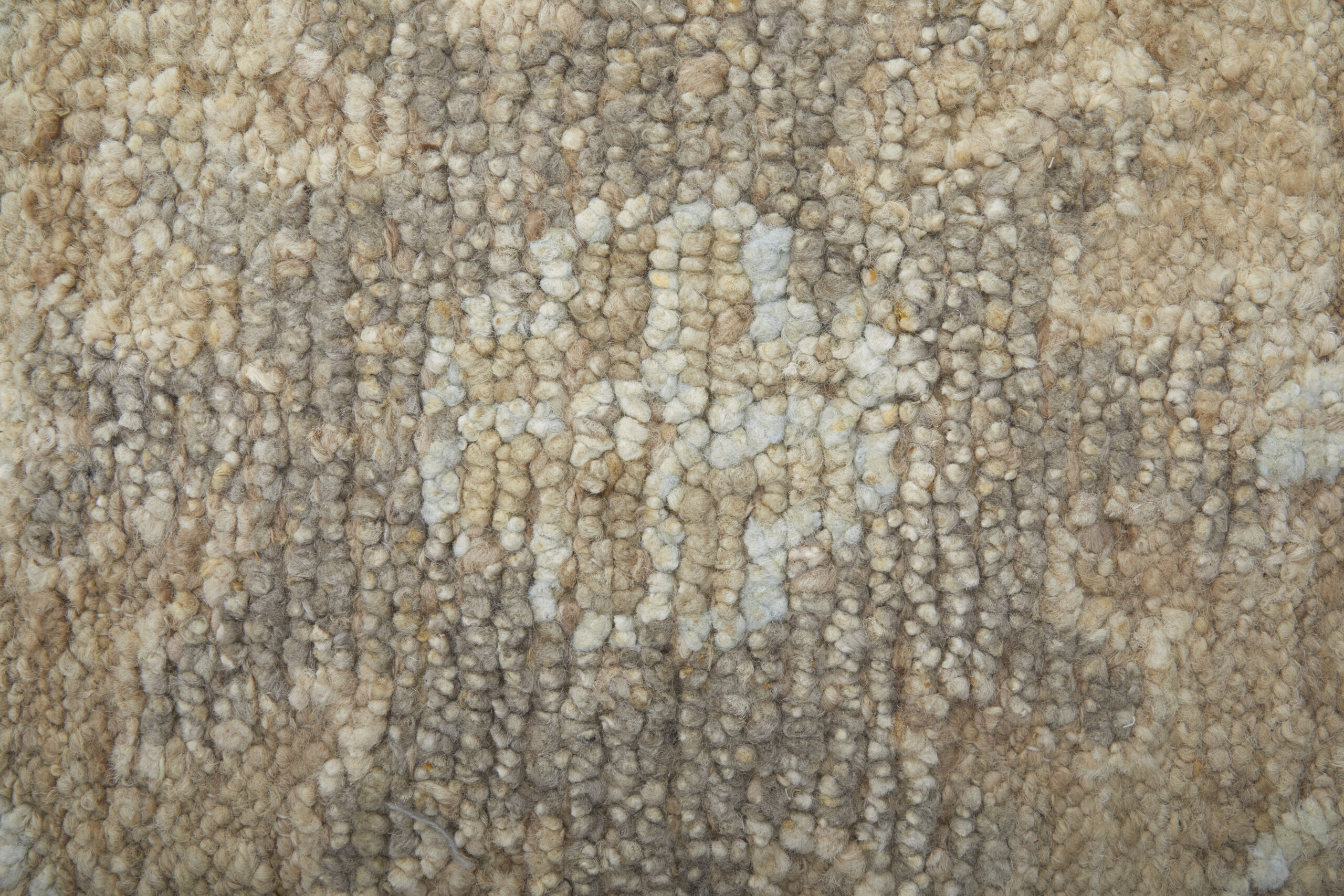 Feizy Grafton Transitional Floral & Botanical 69F8F Tan/Gray/Ivory Area Rug - Image 5