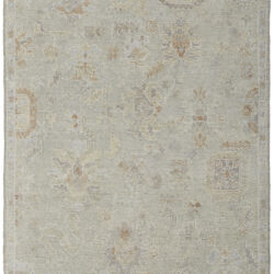 Feizy Grafton Transitional Floral & Botanical 69FNF Gray/Green/Blue Area Rug