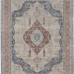 Feizy Marquette Transitional Medallion 39GRF Gray/Red/Blue Area Rug