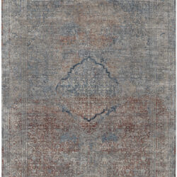 Feizy Marquette Transitional Medallion 39GVF Blue/Red/Gray Area Rug