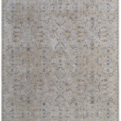 Feizy Pasha Transitional Distressed 39M6F Taupe/Ivory/Blue Area Rug