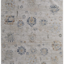Feizy Pasha Transitional Floral & Botanical 39M9F Taupe/Ivory/Blue Area Rug
