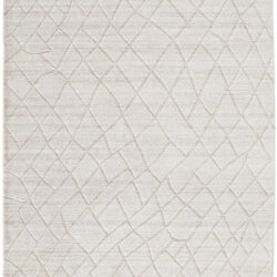 Feizy Redford Transitional Solid 8846F Ivory/Gray Area Rug