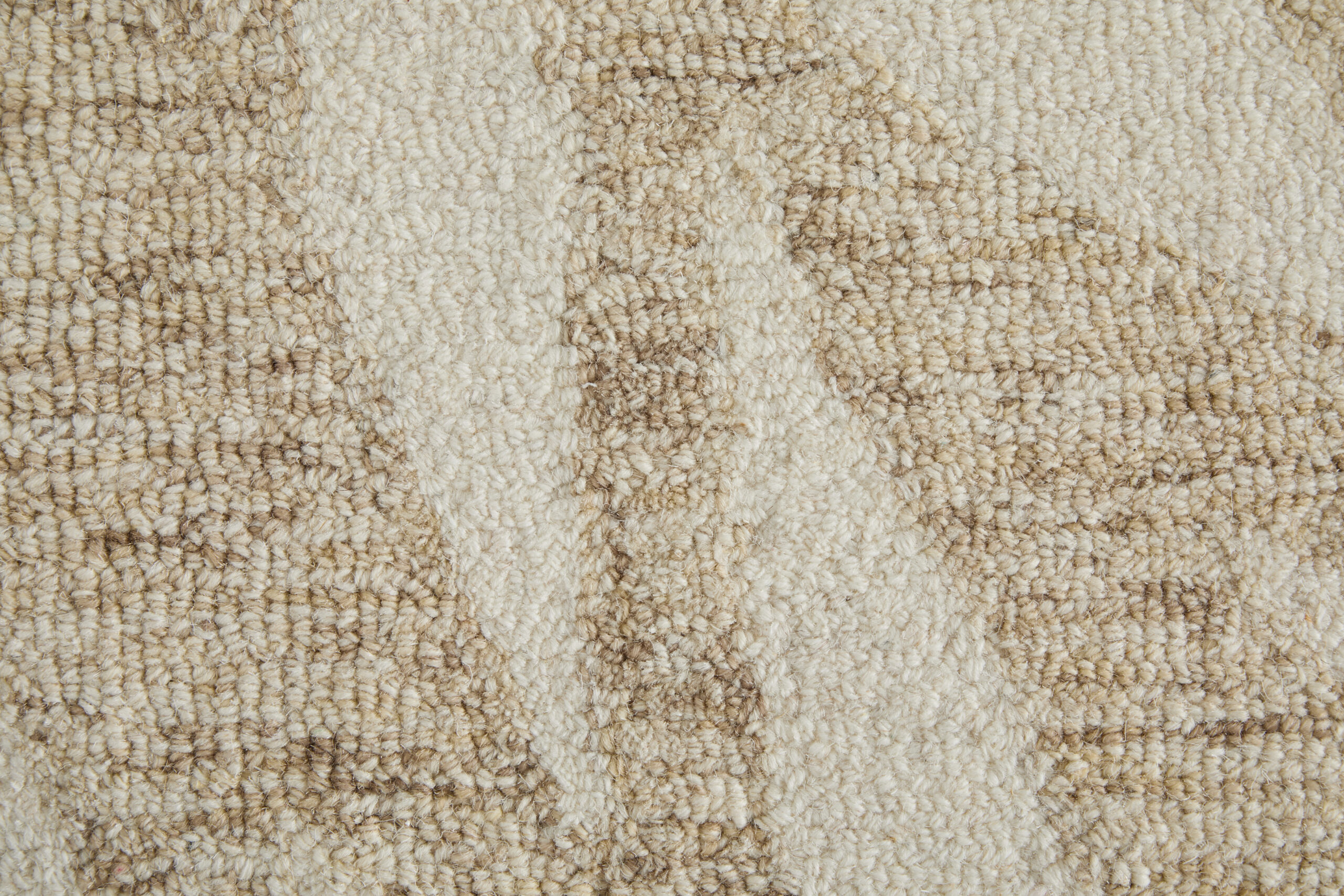 Feizy Wallace Modern Floral & Botanical 8A37F Tan/Ivory Area Rug - Image 5