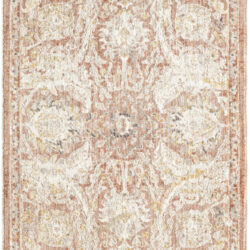 Nourison Antique Fusion ANF03 Brick Area Rug