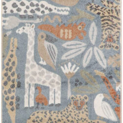 Nourison Astra Machine Washable ASW01 Multicolor Area Rug