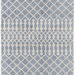 Nourison Astra Machine Washable ASW10 Blue Area Rug