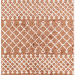 Nourison Astra Machine Washable ASW10 Copper Area Rug