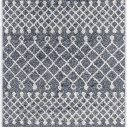 Nourison Astra Machine Washable ASW10 Denim Area Rug
