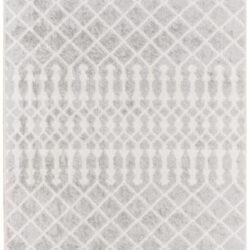 Nourison Astra Machine Washable ASW10 Grey Area Rug