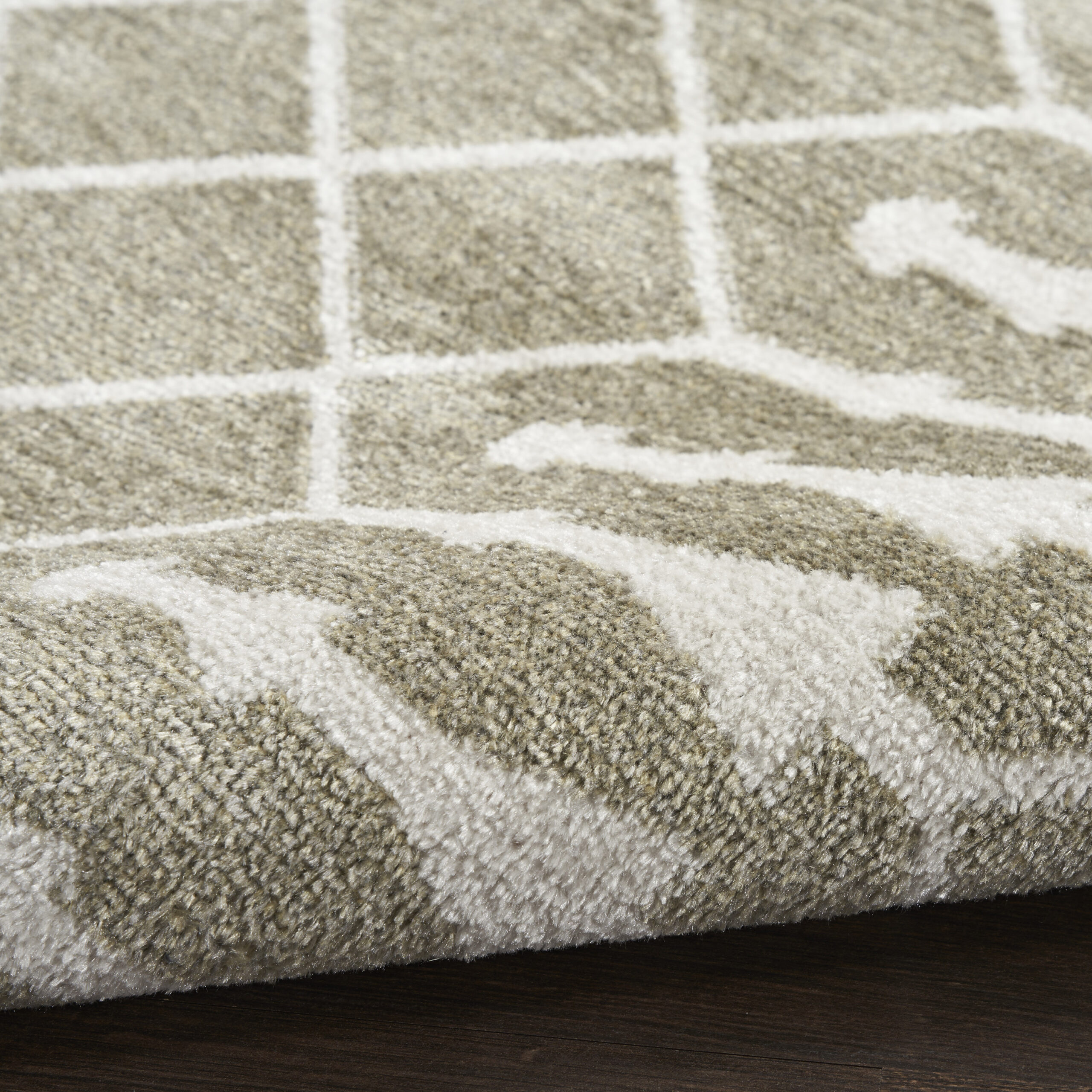 Nourison Astra Machine Washable ASW10 Sage Area Rug - Image 3