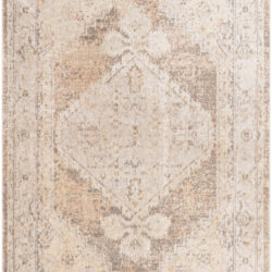 Nourison Astra Machine Washable ASW11 Beige Area Rug
