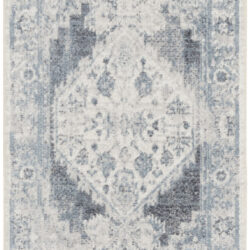 Nourison Astra Machine Washable ASW11 Blue Ivory Area Rug