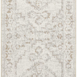 Nourison Astra Machine Washable ASW11 Grey Area Rug