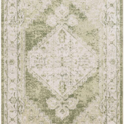 Nourison Astra Machine Washable ASW11 Ivory Green Area Rug