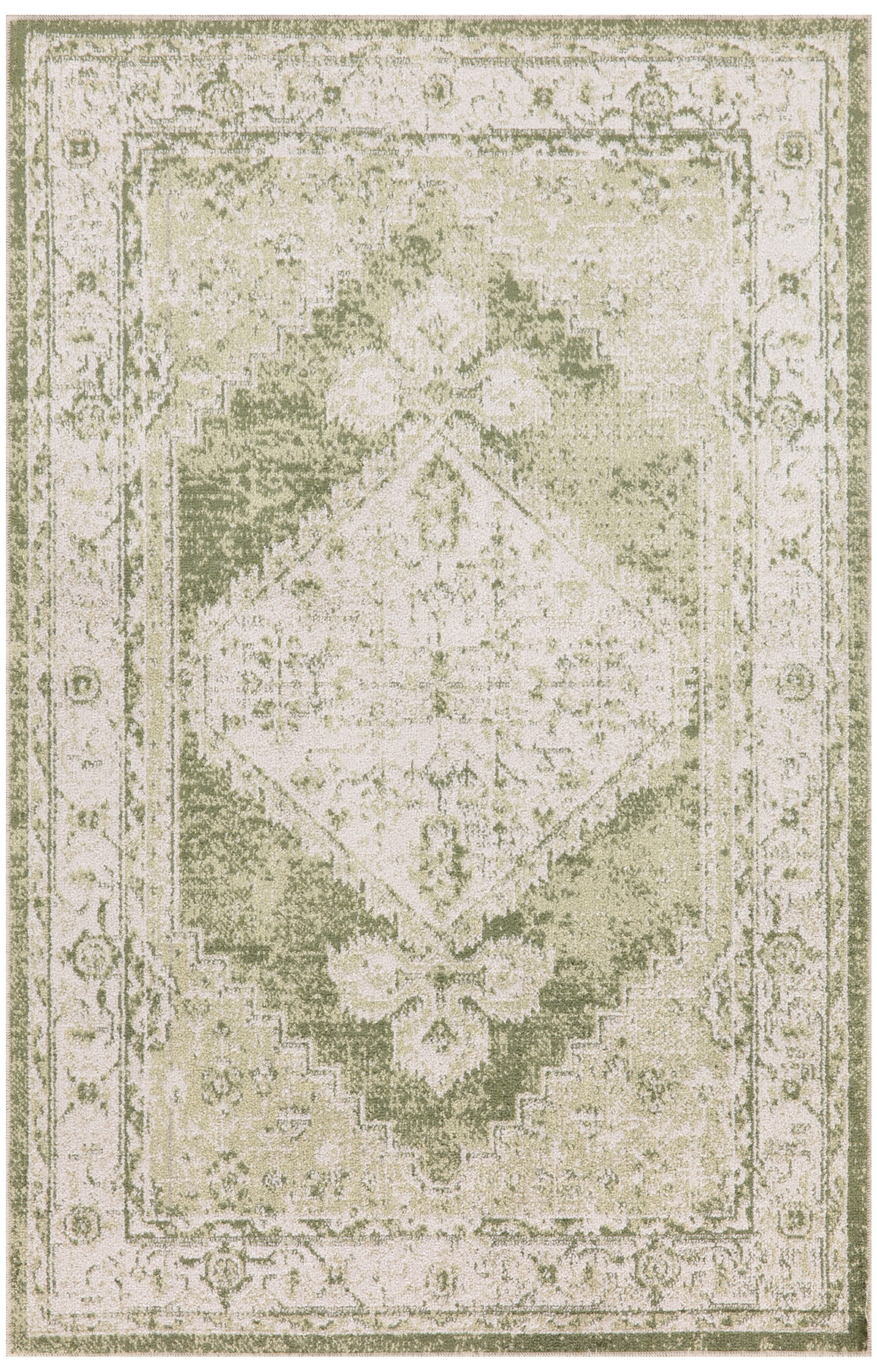 Nourison Astra Machine Washable ASW11 Ivory Green Area Rug