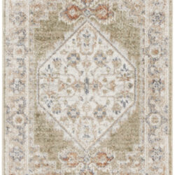 Nourison Astra Machine Washable ASW11 Sage Multicolor Area Rug