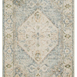 Nourison Astra Machine Washable ASW11 Silver Blue Area Rug