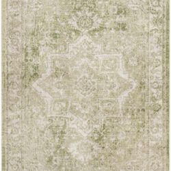 Nourison Astra Machine Washable ASW12 Ivory Green Area Rug