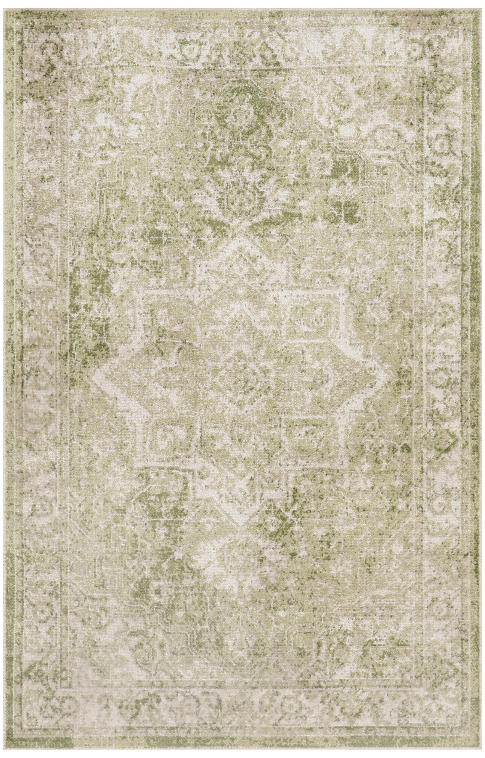 Nourison Astra Machine Washable ASW12 Ivory Green Area Rug