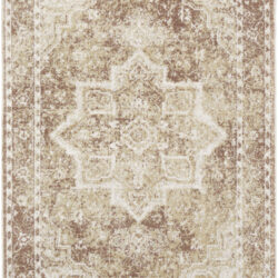 Nourison Astra Machine Washable ASW12 Rust Area Rug