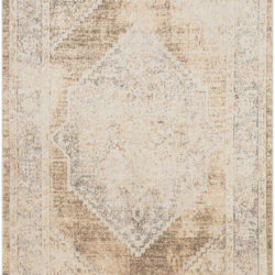Nourison Astra Machine Washable ASW13 Beige Area Rug