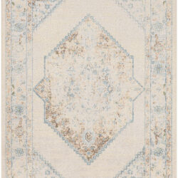 Nourison Astra Machine Washable ASW13 Ivory Blue Area Rug