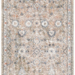 Nourison Astra Machine Washable ASW16 Silver Taupe Area Rug