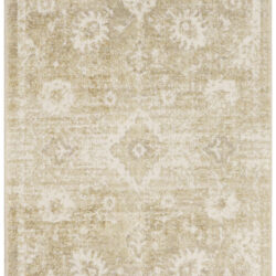 Nourison Astra Machine Washable ASW19 Ivory Gold Area Rug