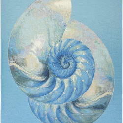 Nourison Color Splash CSP01 Blue Ivory Area Rug