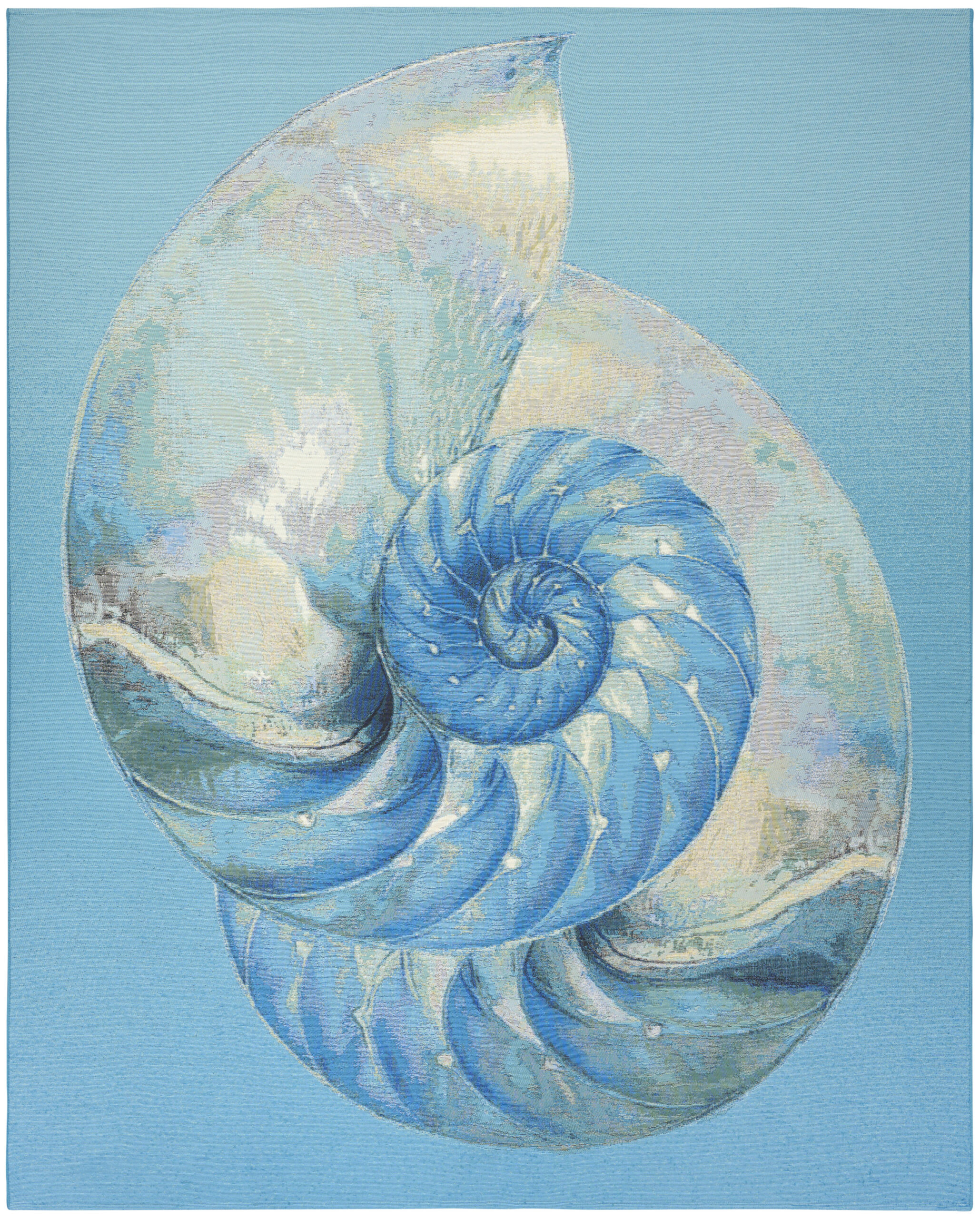 Nourison Color Splash CSP01 Blue Ivory Area Rug