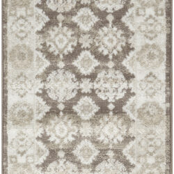 Nourison Dekor DEK02 Ivory Brown Area Rug